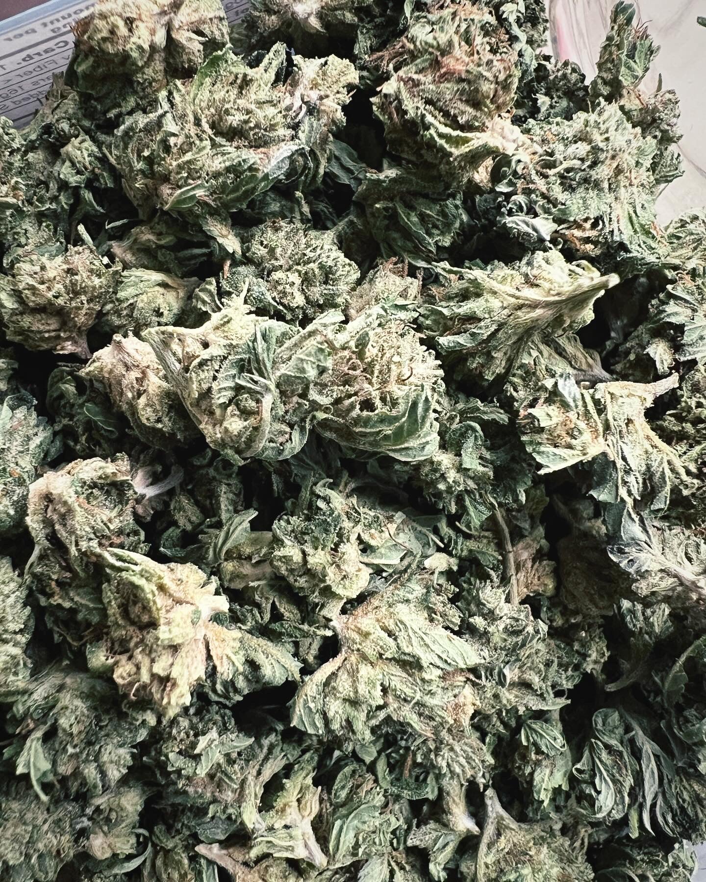Ripkitty Bubba Kush 59 CBD Hemp Flowers - Bud’s Growery - Wholesale